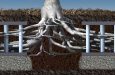 Rendering illustrating healthy tree root growth and unaffected pavement by utilizing an urban root system.