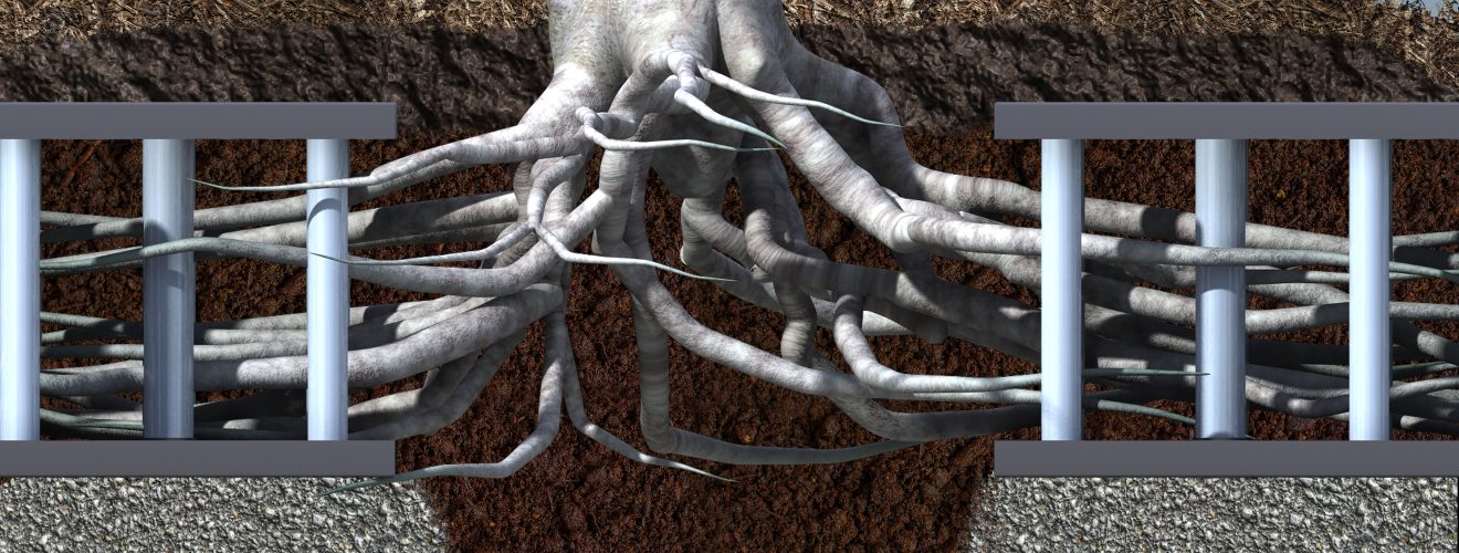 Rendering illustrating healthy tree root growth and unaffected pavement by utilizing an urban root system.