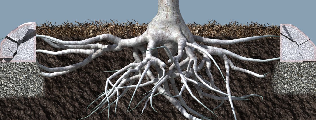Rendering illustrating damaged pavement and tree failure from compacted soil without an urban root system in place.